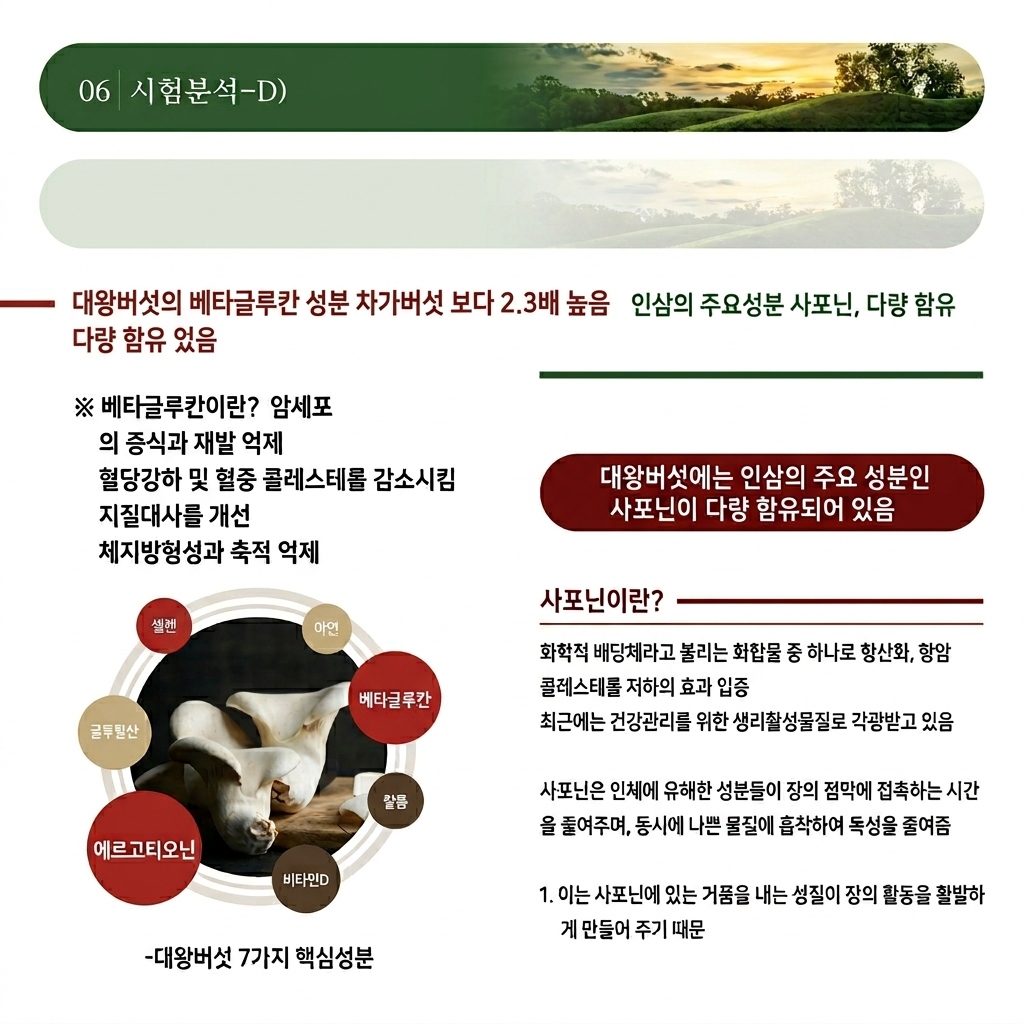 대왕버섯 7대 핵심성분 가이드