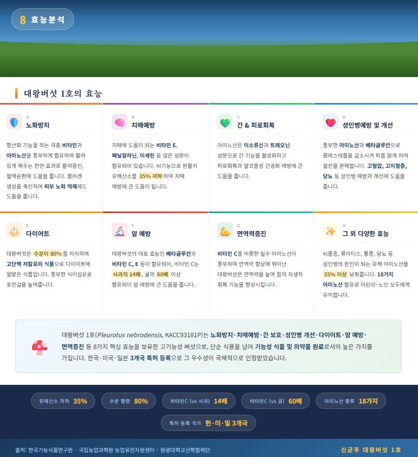 베타글루칸 비교 차트