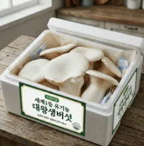 대왕 생버섯으로 요리한 고급 플레이팅