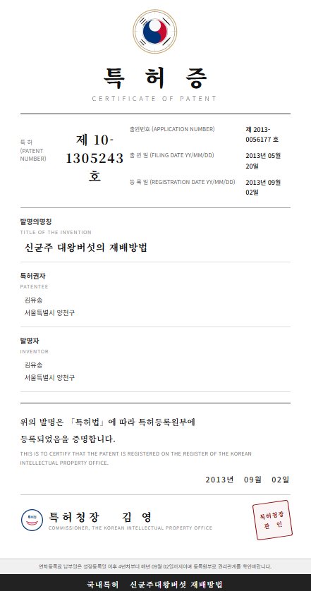 당뇨병 예방, 개선 또는 치료용 조성물 특허증